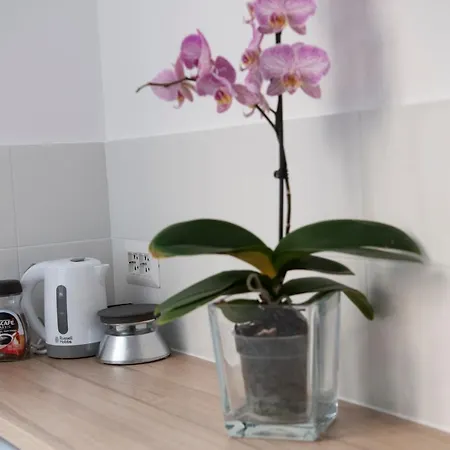 Vesuvio Blu Appartement